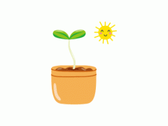 多肉植物開花不好？這是為什么，開的話如何養(yǎng)護(hù)
