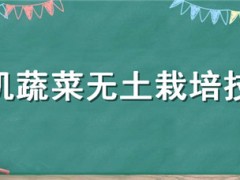 有機(jī)蔬菜無土栽培技術(shù)