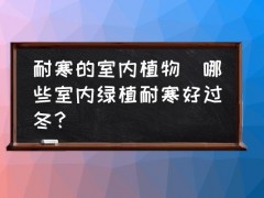 耐寒的室內(nèi)植物(哪些室內(nèi)綠植耐寒好過冬？)